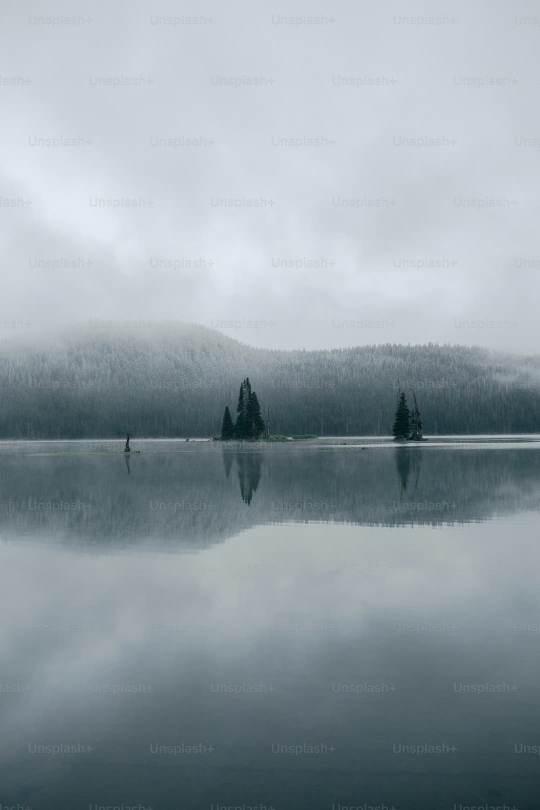 https://p3.img.cctvpic.com/photoworkspace/contentimg/2025/09/06/2025090609253635953.jpg